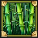 mystery bamboo